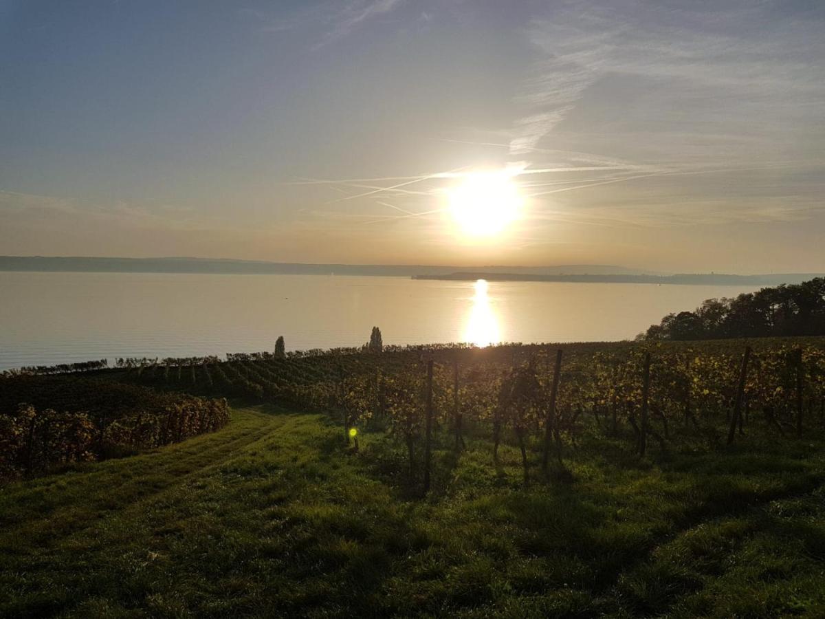 Schoene Stadtwohnung In Friedrichshafen Am Bodensee Eksteriør billede